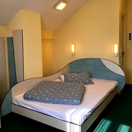Vila Moni S 3* Cluj-Napoca