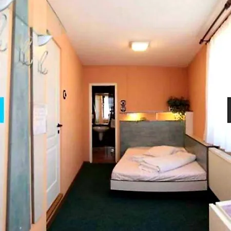 Vila Moni S Hotel Cluj-Napoca